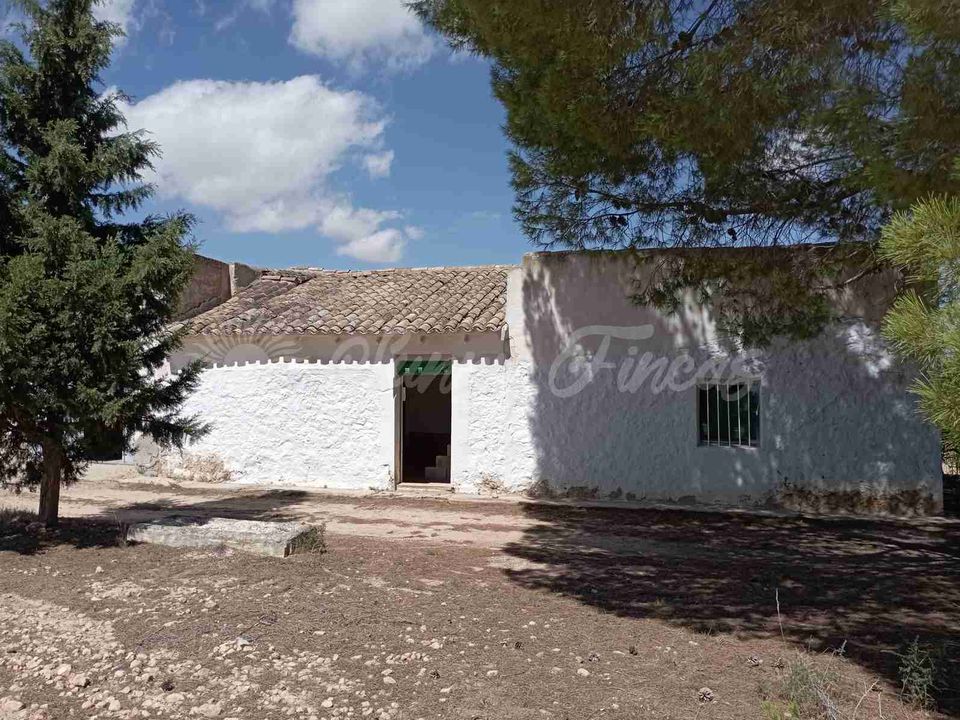 Landejendom i Yecla, Murcia - foto 3